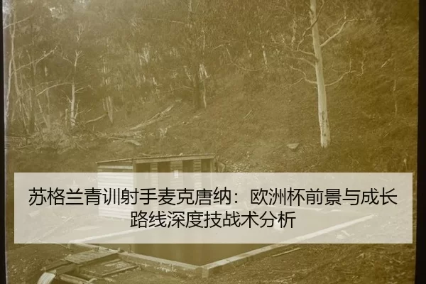 su-ge-lan-qing-xun-she-shou-mai-ke-tang-na-ou-zhou-bei-qian-jing-yu-cheng-zhang-lu-xian-shen-du-ji-zhan-shu-fen-xi-2-623.jpg