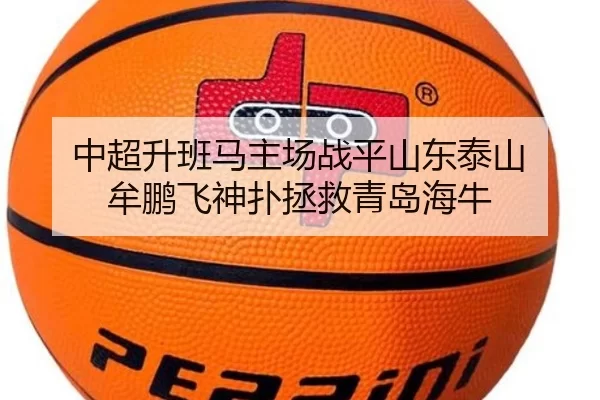 zhong-chao-sheng-ban-ma-zhu-chang-zhan-ping-shan-dong-tai-shan-mou-peng-fei-shen-pu-zheng-jiu-qing-dao-hai-niu-2-732.jpg